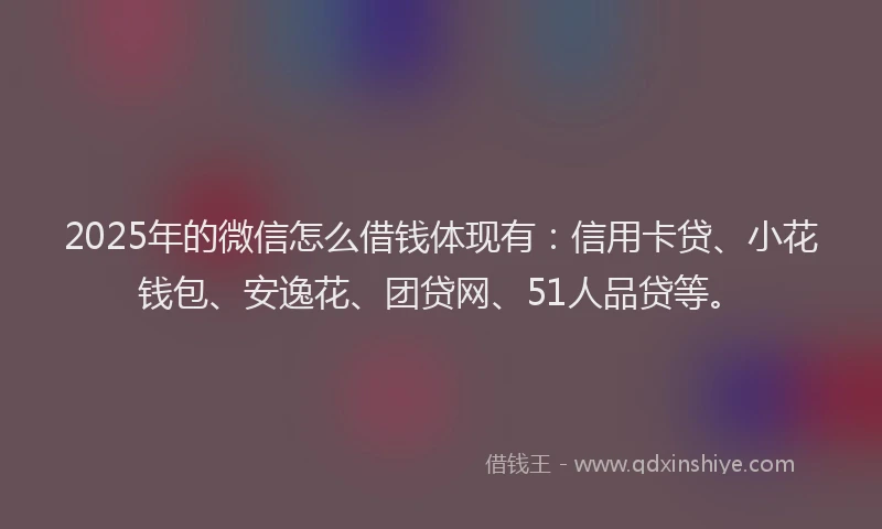 2025年的微信怎么借钱体现有：信用卡贷、小花钱包、安逸花、团贷网、51人品贷等。