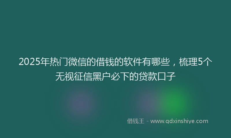 2025年热门微信的借钱的软件有哪些，梳理5个无视征信黑户必下的贷款口子