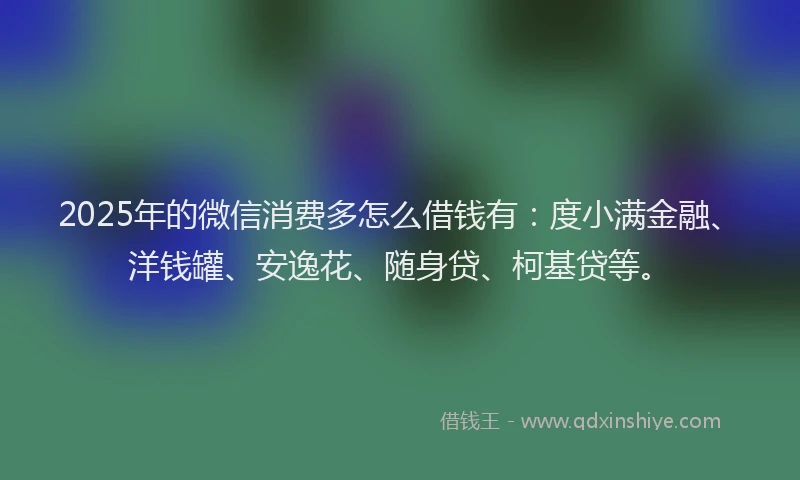 2025年的微信消费多怎么借钱有：度小满金融、洋钱罐、安逸花、随身贷、柯基贷等。