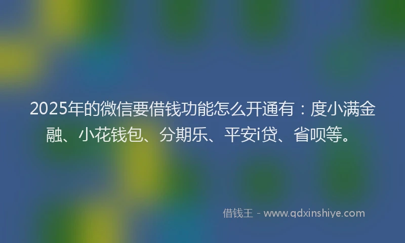 2025年的微信要借钱功能怎么开通有：度小满金融、小花钱包、分期乐、平安i贷、省呗等。