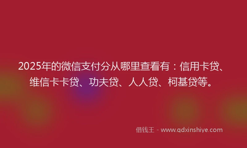 2025年的微信支付分从哪里查看有：信用卡贷、维信卡卡贷、功夫贷、人人贷、柯基贷等。