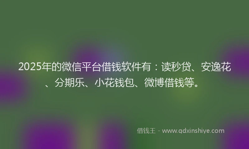 2025年的微信平台借钱软件有：读秒贷、安逸花、分期乐、小花钱包、微博借钱等。