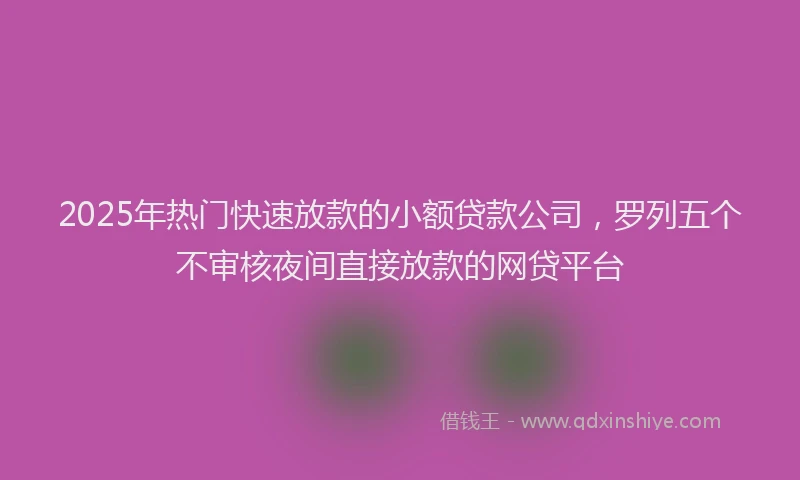 2025年热门快速放款的小额贷款公司，罗列五个不审核夜间直接放款的网贷平台