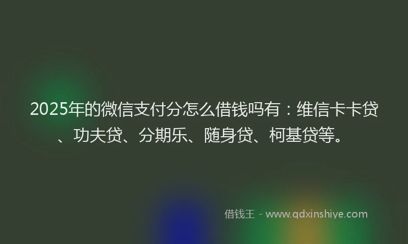 2025年的微信支付分怎么借钱吗有：维信卡卡贷、功夫贷、分期乐、随身贷、柯基贷等。