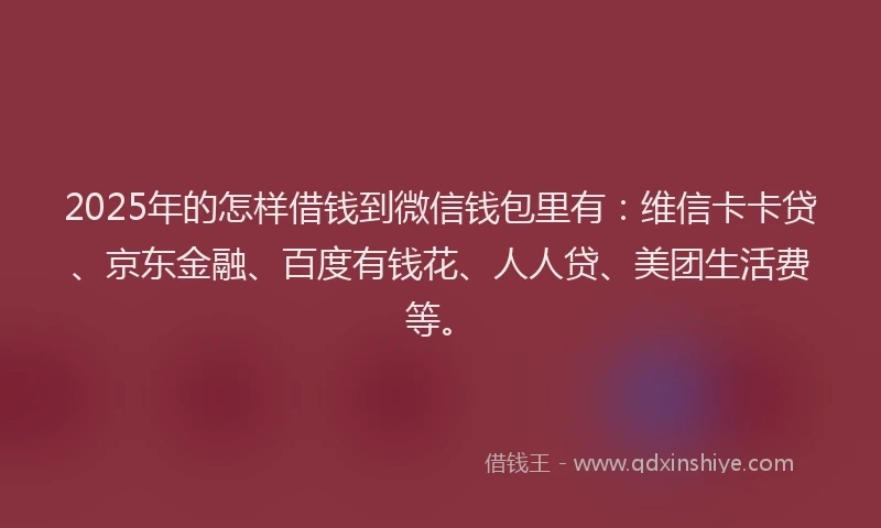 2025年的怎样借钱到微信钱包里有：维信卡卡贷、京东金融、百度有钱花、人人贷、美团生活费等。
