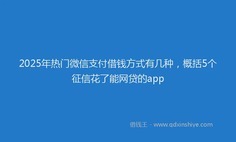 2025年热门微信支付借钱方式有几种，概括5个征信花了能网贷的app
