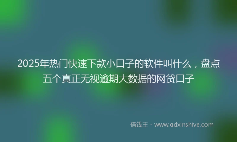 2025年热门快速下款小口子的软件叫什么，盘点五个真正无视逾期大数据的网贷口子
