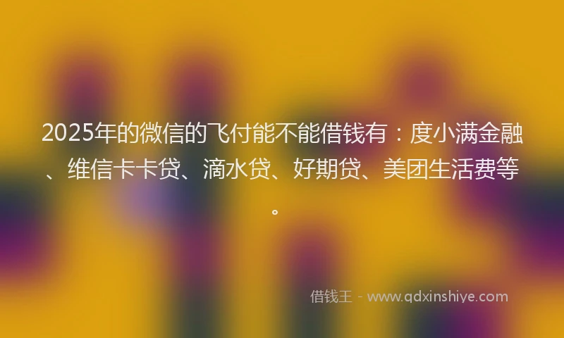 2025年的微信的飞付能不能借钱有：度小满金融、维信卡卡贷、滴水贷、好期贷、美团生活费等。