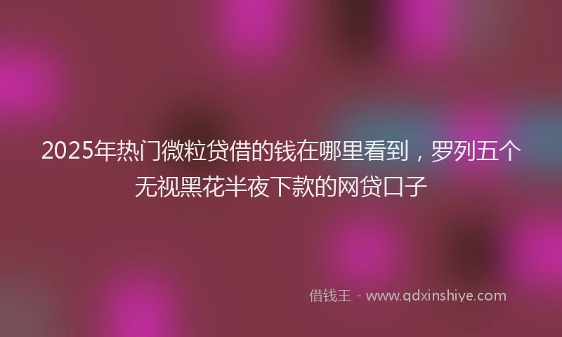 2025年热门微粒贷借的钱在哪里看到，罗列五个无视黑花半夜下款的网贷口子