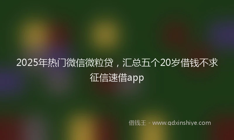 2025年热门微信微粒贷，汇总五个20岁借钱不求征信速借app