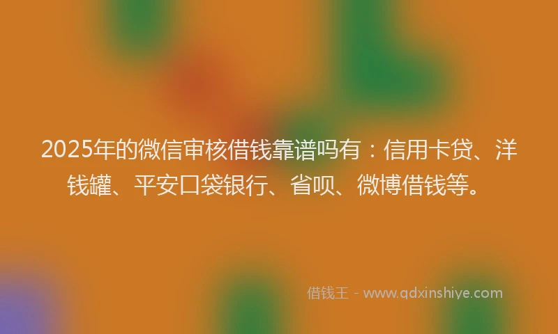 2025年的微信审核借钱靠谱吗有：信用卡贷、洋钱罐、平安口袋银行、省呗、微博借钱等。