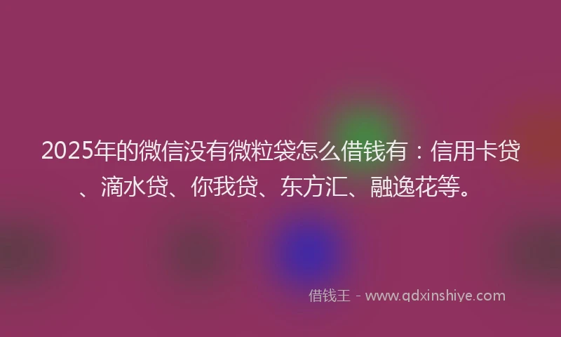 2025年的微信没有微粒袋怎么借钱有：信用卡贷、滴水贷、你我贷、东方汇、融逸花等。