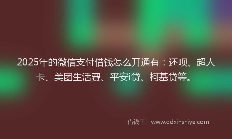 2025年的微信支付借钱怎么开通有：还呗、超人卡、美团生活费、平安i贷、柯基贷等。