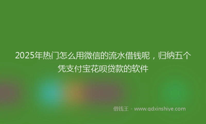 2025年热门怎么用微信的流水借钱呢，归纳五个凭支付宝花呗贷款的软件