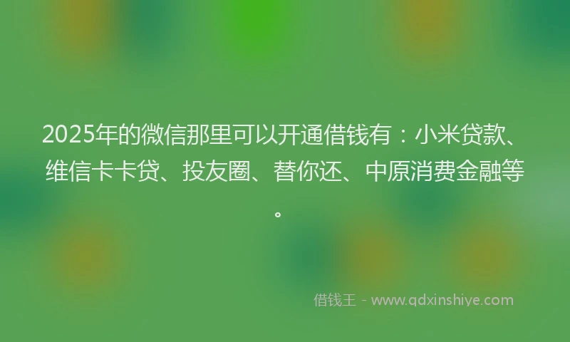 2025年的微信那里可以开通借钱有：小米贷款、维信卡卡贷、投友圈、替你还、中原消费金融等。