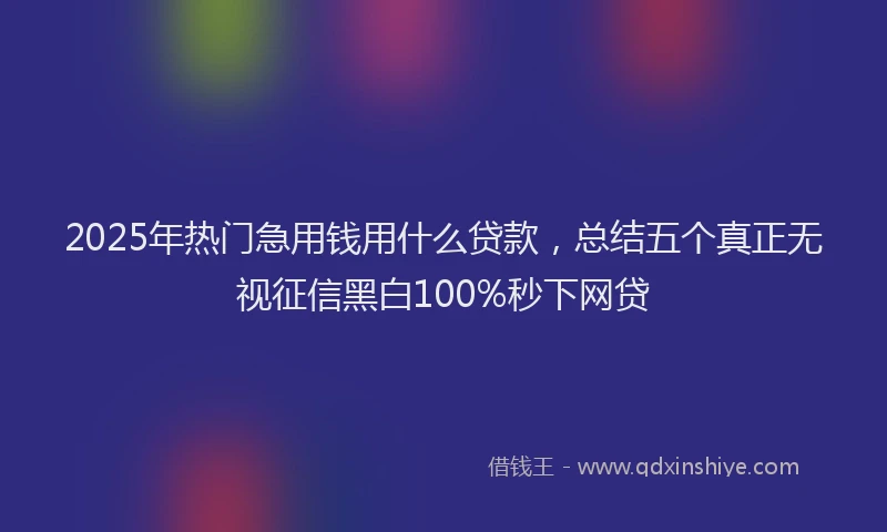 2025年热门急用钱用什么贷款，总结五个真正无视征信黑白100%秒下网贷