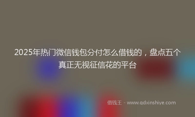 2025年热门微信钱包分付怎么借钱的，盘点五个真正无视征信花的平台