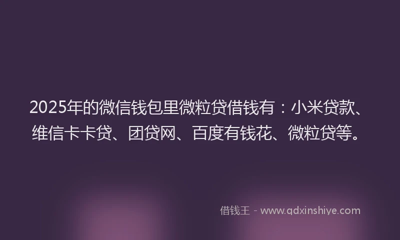 2025年的微信钱包里微粒贷借钱有：小米贷款、维信卡卡贷、团贷网、百度有钱花、微粒贷等。