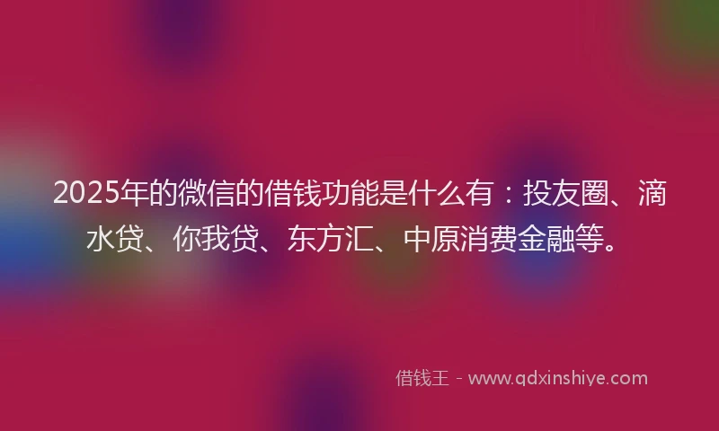 2025年的微信的借钱功能是什么有：投友圈、滴水贷、你我贷、东方汇、中原消费金融等。
