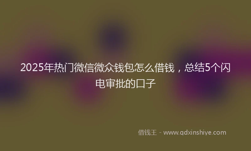 2025年热门微信微众钱包怎么借钱，总结5个闪电审批的口子