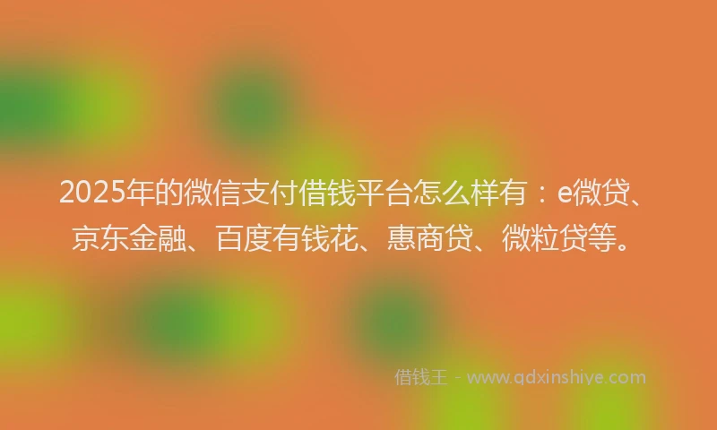 2025年的微信支付借钱平台怎么样有：e微贷、京东金融、百度有钱花、惠商贷、微粒贷等。