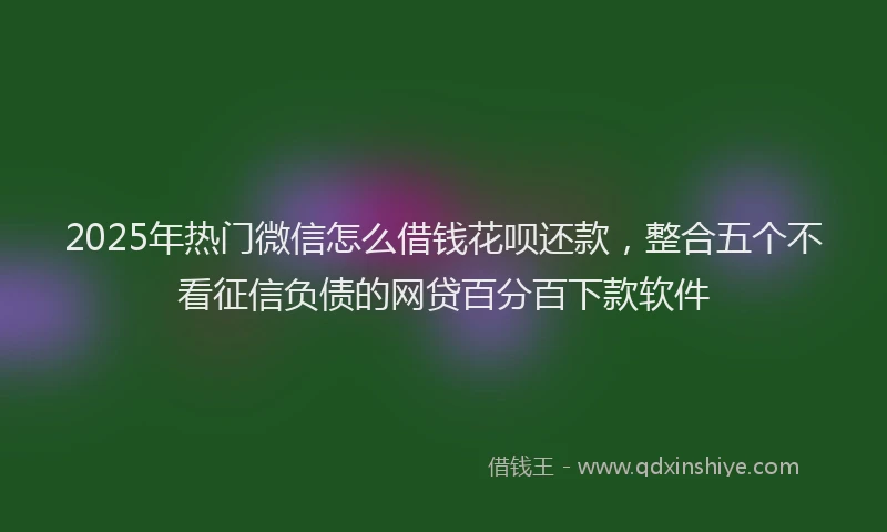 2025年热门微信怎么借钱花呗还款，整合五个不看征信负债的网贷百分百下款软件