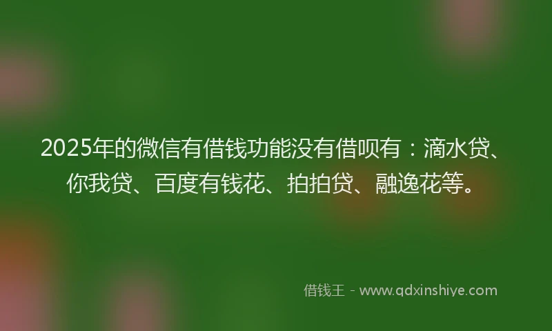 2025年的微信有借钱功能没有借呗有：滴水贷、你我贷、百度有钱花、拍拍贷、融逸花等。
