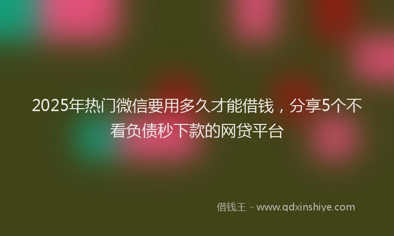 2025年热门微信要用多久才能借钱，分享5个不看负债秒下款的网贷平台