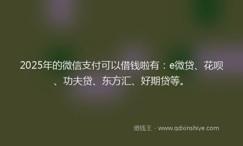 2025年的微信支付可以借钱啦有：e微贷、花呗、功夫贷、东方汇、好期贷等。