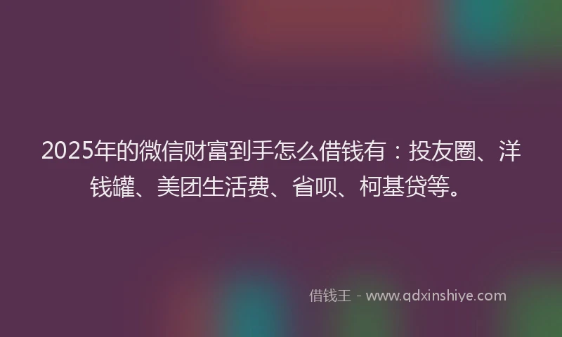 2025年的微信财富到手怎么借钱有：投友圈、洋钱罐、美团生活费、省呗、柯基贷等。