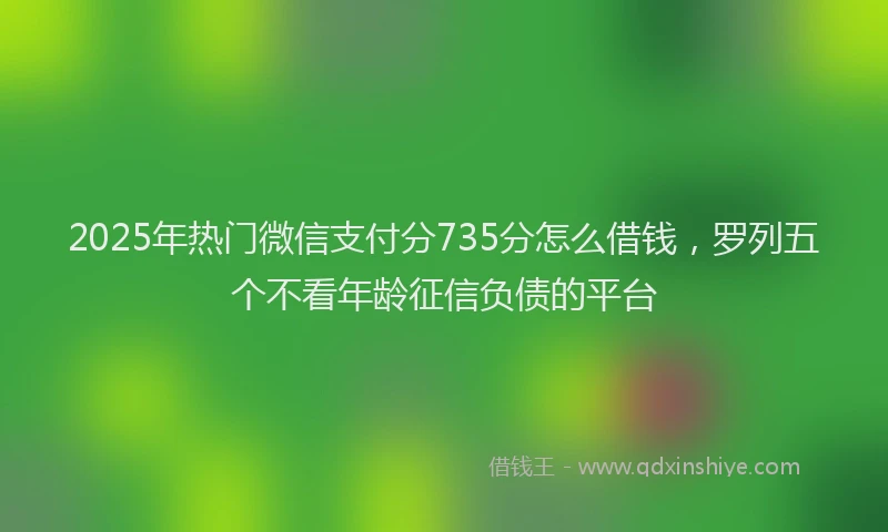 2025年热门微信支付分735分怎么借钱，罗列五个不看年龄征信负债的平台