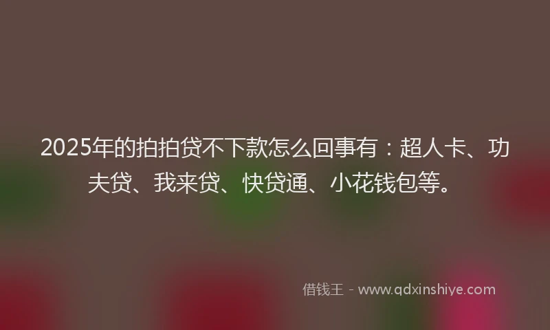 2025年的拍拍贷不下款怎么回事有：超人卡、功夫贷、我来贷、快贷通、小花钱包等。