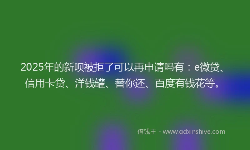 2025年的新呗被拒了可以再申请吗有：e微贷、信用卡贷、洋钱罐、替你还、百度有钱花等。