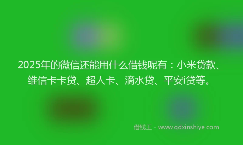 2025年的微信还能用什么借钱呢有：小米贷款、维信卡卡贷、超人卡、滴水贷、平安i贷等。