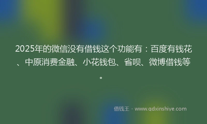 2025年的微信没有借钱这个功能有：百度有钱花、中原消费金融、小花钱包、省呗、微博借钱等。