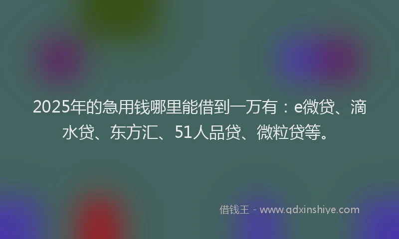 2025年的急用钱哪里能借到一万有：e微贷、滴水贷、东方汇、51人品贷、微粒贷等。