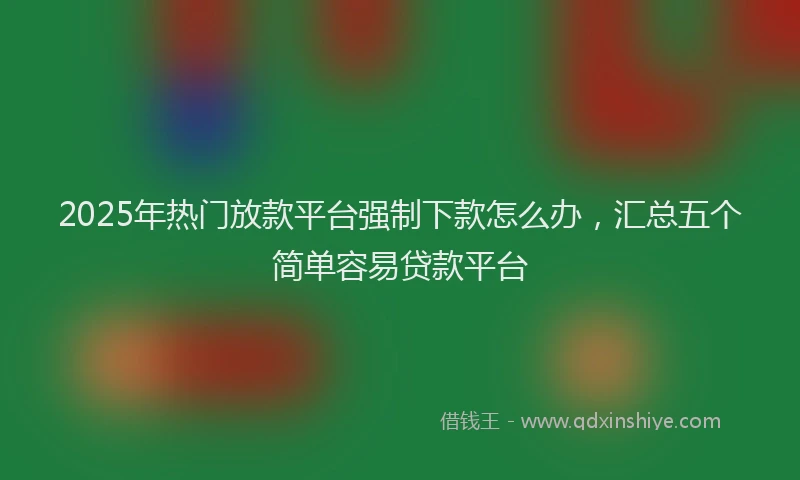 2025年热门放款平台强制下款怎么办，汇总五个简单容易贷款平台