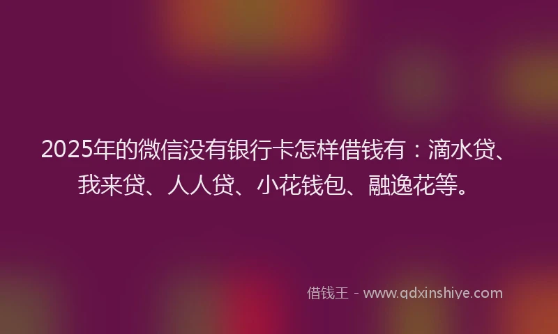 2025年的微信没有银行卡怎样借钱有：滴水贷、我来贷、人人贷、小花钱包、融逸花等。