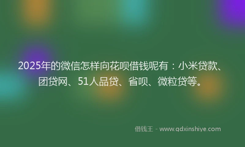 2025年的微信怎样向花呗借钱呢有：小米贷款、团贷网、51人品贷、省呗、微粒贷等。