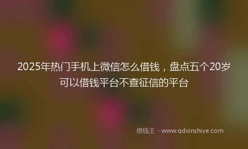 2025年热门手机上微信怎么借钱，盘点五个20岁可以借钱平台不查征信的平台