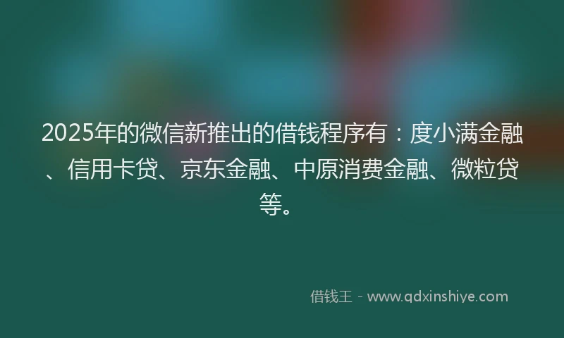 2025年的微信新推出的借钱程序有：度小满金融、信用卡贷、京东金融、中原消费金融、微粒贷等。