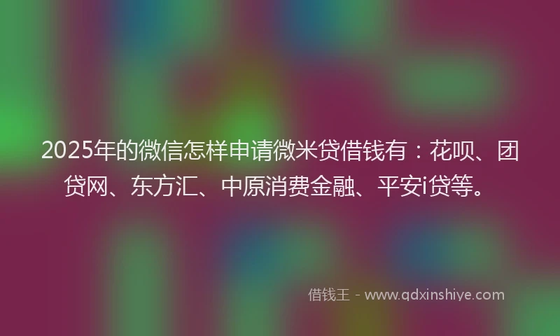 2025年的微信怎样申请微米贷借钱有：花呗、团贷网、东方汇、中原消费金融、平安i贷等。