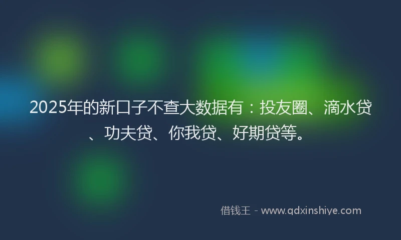 2025年的新口子不查大数据有：投友圈、滴水贷、功夫贷、你我贷、好期贷等。