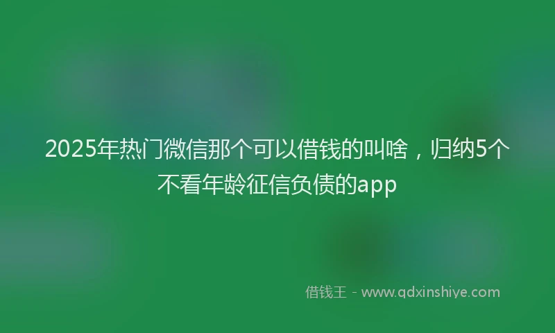 2025年热门微信那个可以借钱的叫啥，归纳5个不看年龄征信负债的app