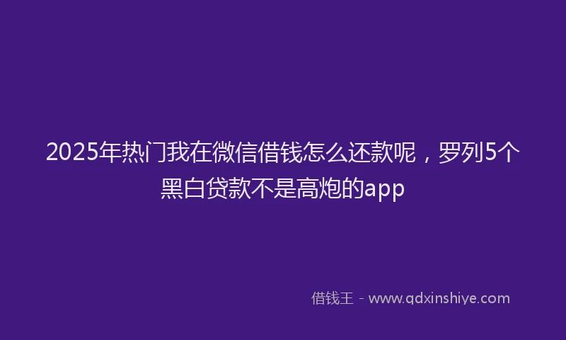 2025年热门我在微信借钱怎么还款呢，罗列5个黑白贷款不是高炮的app