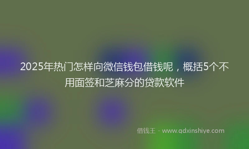 2025年热门怎样向微信钱包借钱呢，概括5个不用面签和芝麻分的贷款软件