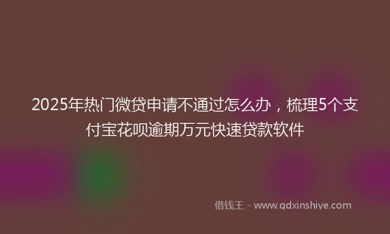 2025年热门微贷申请不通过怎么办，梳理5个支付宝花呗逾期万元快速贷款软件
