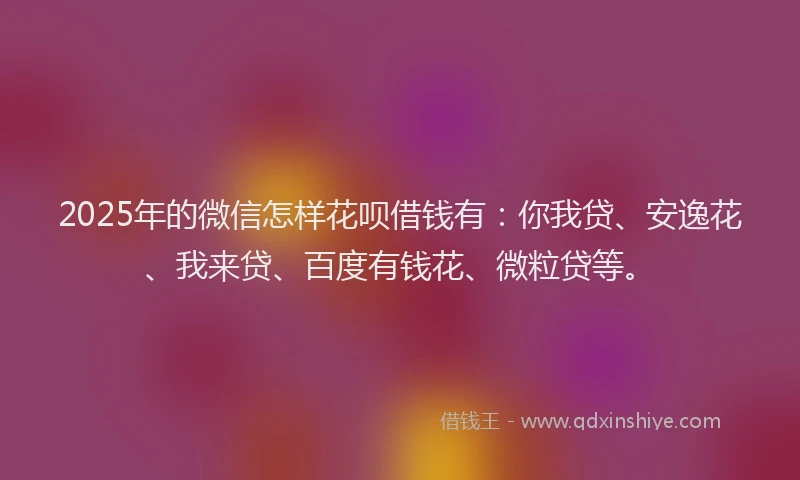 2025年的微信怎样花呗借钱有：你我贷、安逸花、我来贷、百度有钱花、微粒贷等。