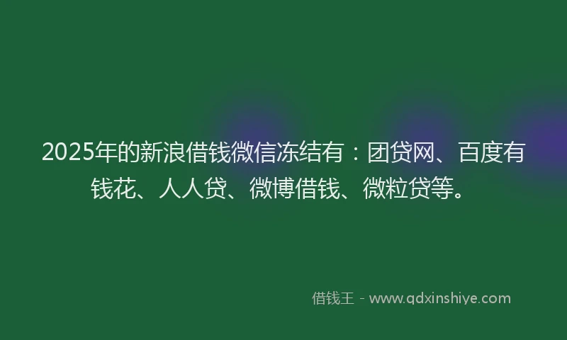 2025年的新浪借钱微信冻结有：团贷网、百度有钱花、人人贷、微博借钱、微粒贷等。