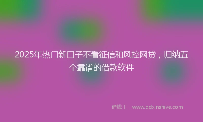 2025年热门新口子不看征信和风控网贷，归纳五个靠谱的借款软件